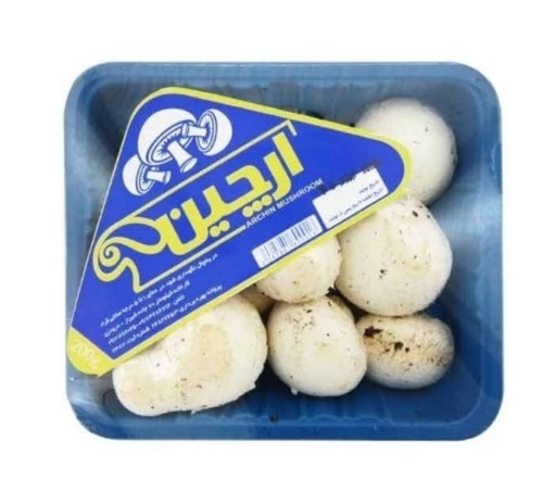 قارچ 300 گرم آرچین
