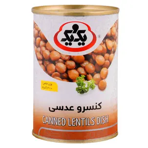 کنسرو عدسی یک و یک 430 گرمی